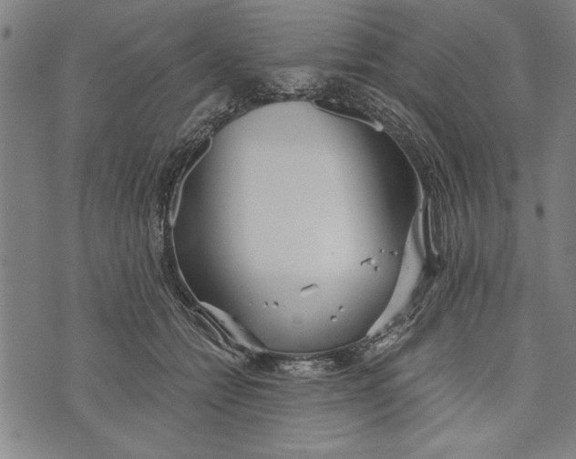 X0000073720558200608241235