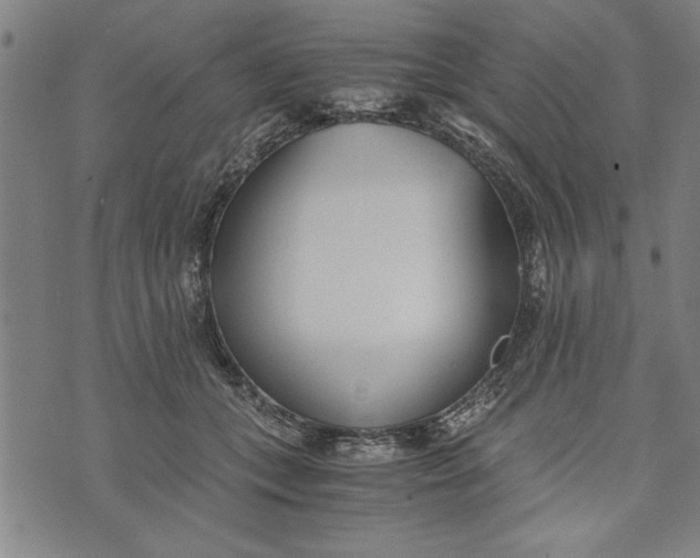 X0000073720559200608241235