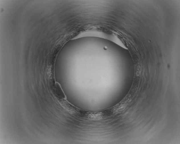 X0000073720560200608241235