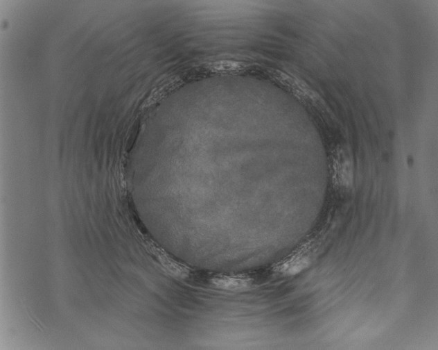 X0000073720561200608241235