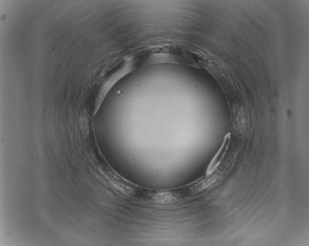 X0000073720562200608241235