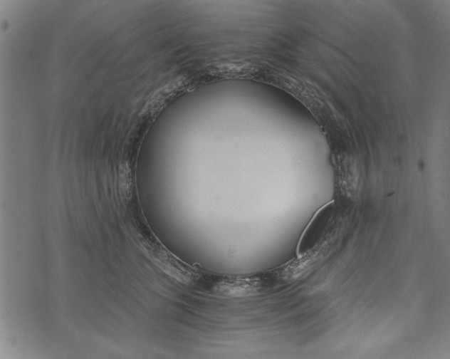 X0000073720563200608241235