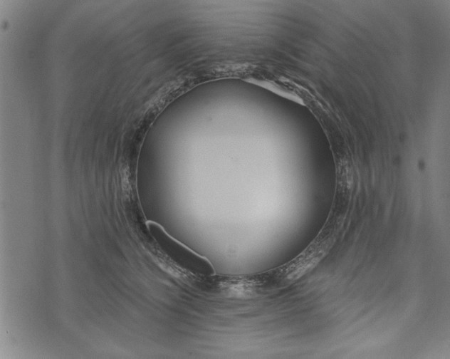 X0000073720564200608241235