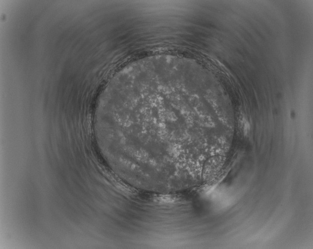 X0000073720565200608241235