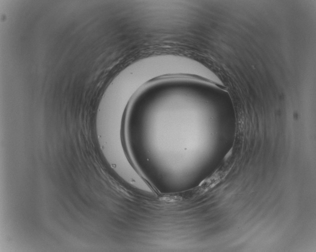 X0000073720566200608241235