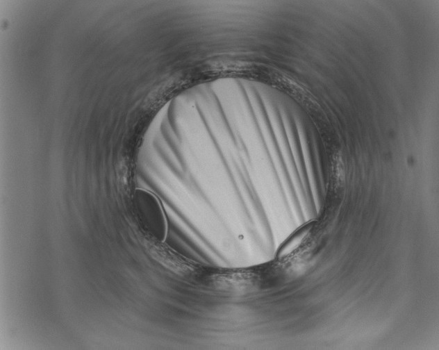 X0000073720567200608241235