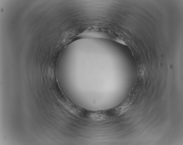 X0000073720568200608241235