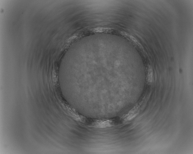 X0000073720569200608241235