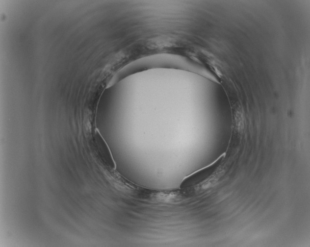 X0000073720570200608241235