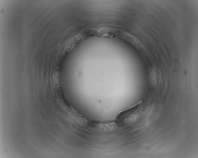 X0000073720571200608241235