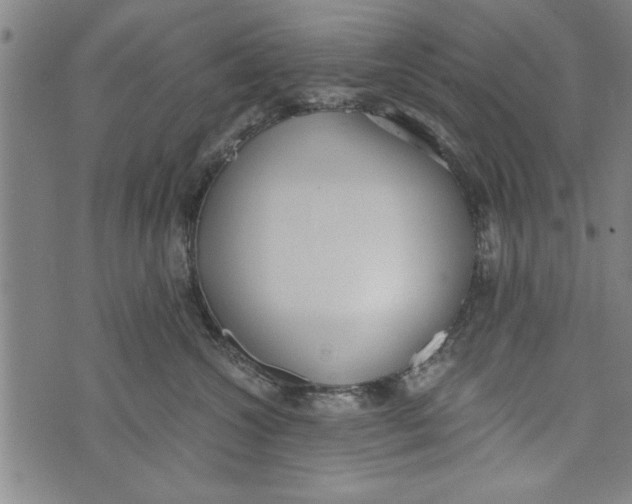 X0000073720572200608241235