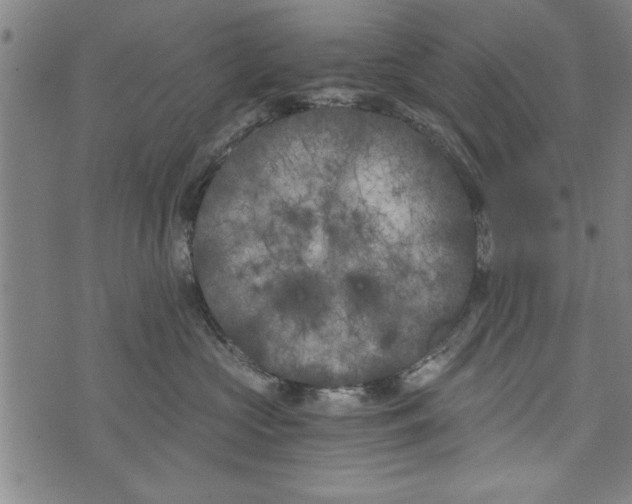 X0000073720573200608241235