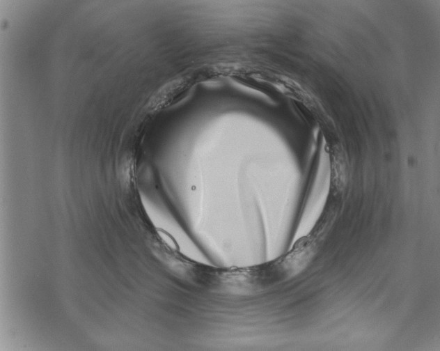 X0000073720574200608241235