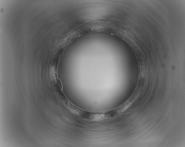 X0000073720575200608241235