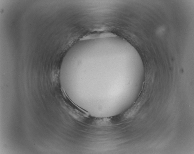 X0000073720576200608241235