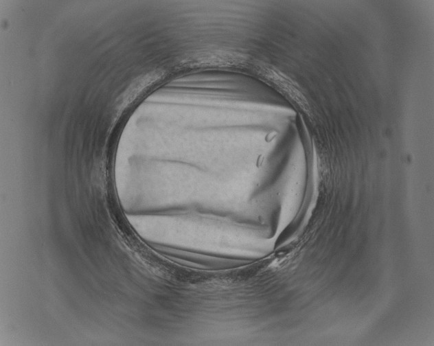 X0000073720578200608241234