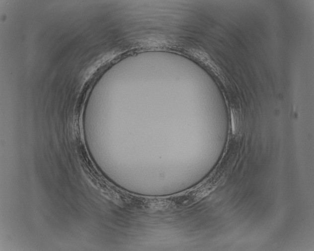 X0000073720579200608241234