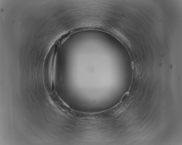 X0000073720580200608241234