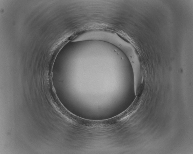 X0000073720581200608241234