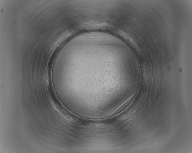 X0000073720582200608241234