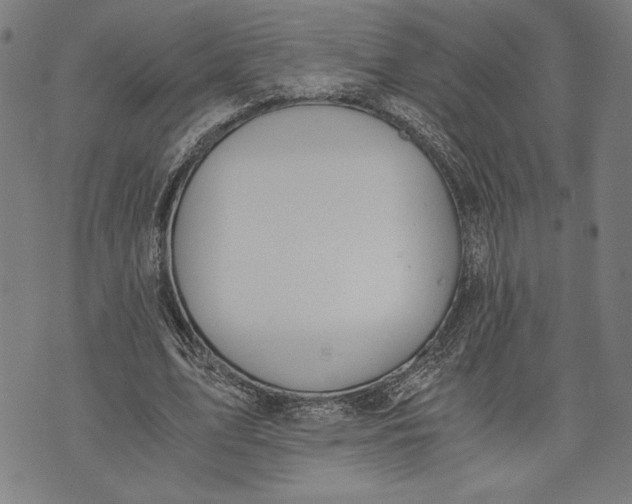 X0000073720583200608241234