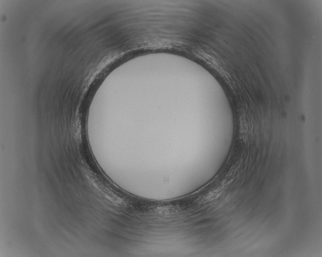 X0000073720584200608241234