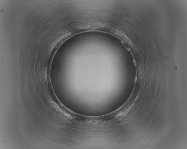 X0000073720585200608241234