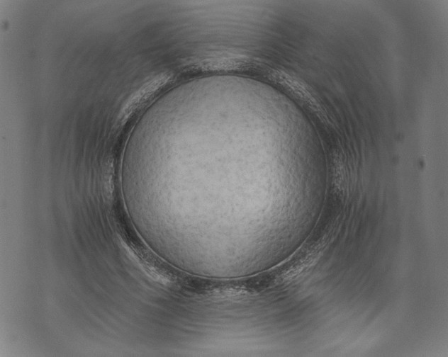 X0000073720586200608241234