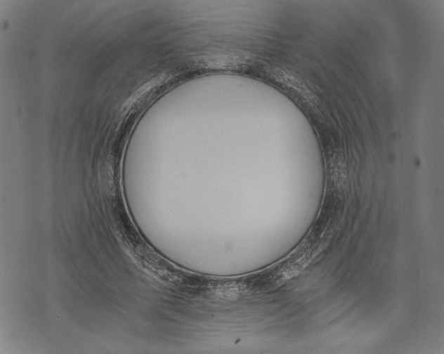 X0000073720587200608241234