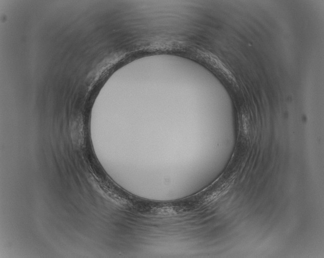 X0000073720588200608241234