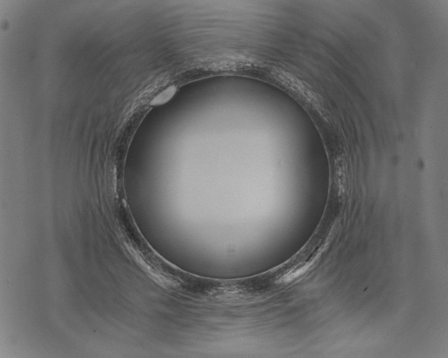 X0000073720589200608241234