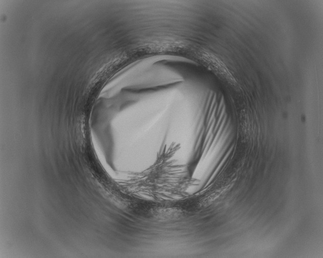 X0000073720590200608241234