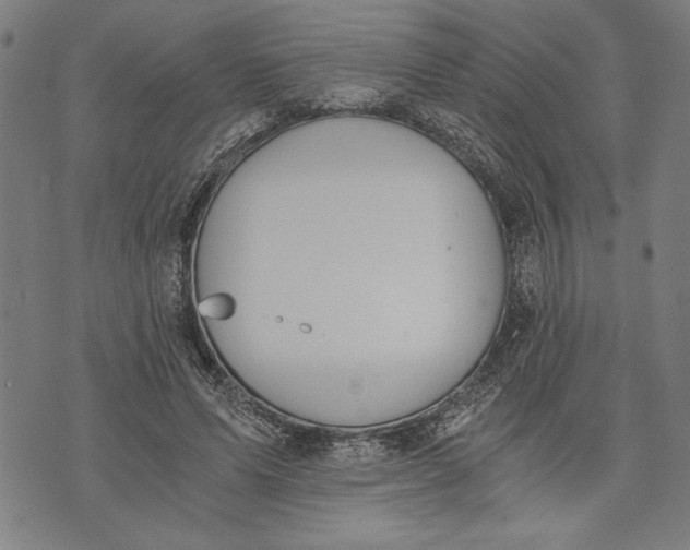 X0000073720591200608241234