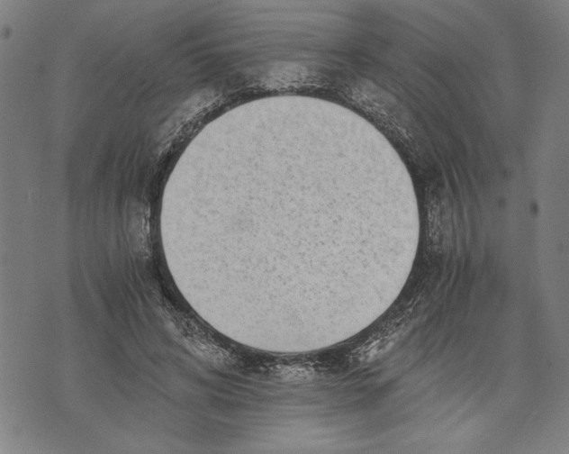 X0000073720592200608241234