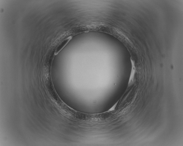 X0000073720593200608241234