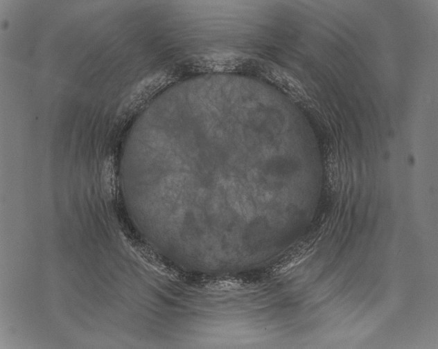 X0000073720594200608241234