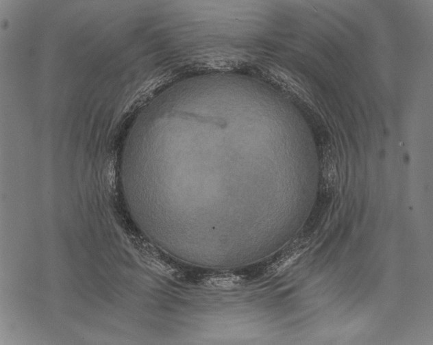 X0000073720595200608241234