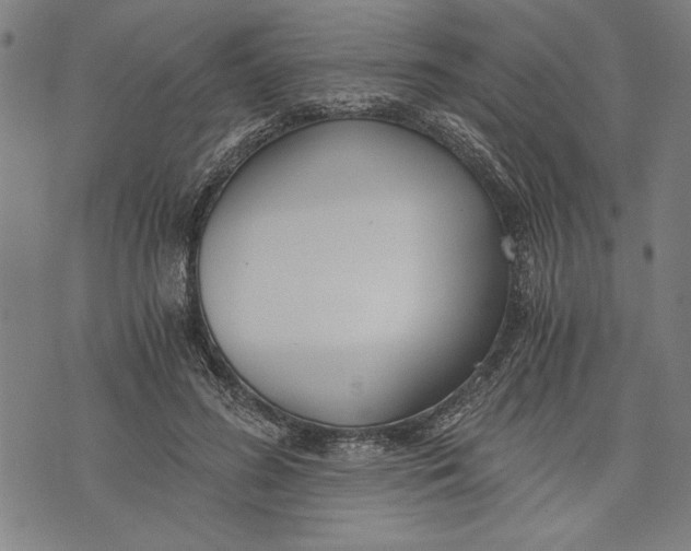 X0000073720596200608241234