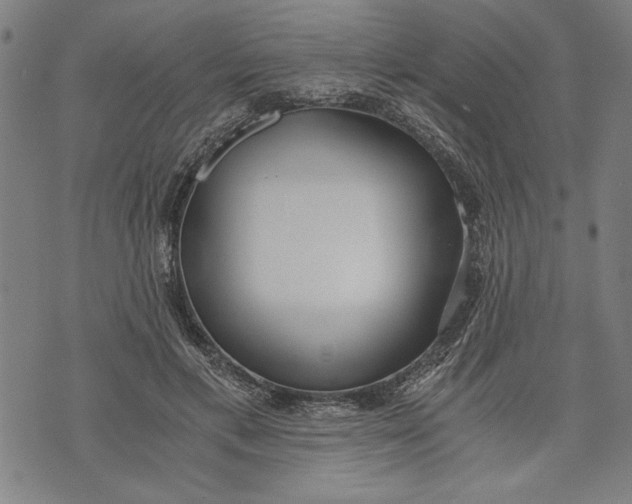 X0000073720597200608241234