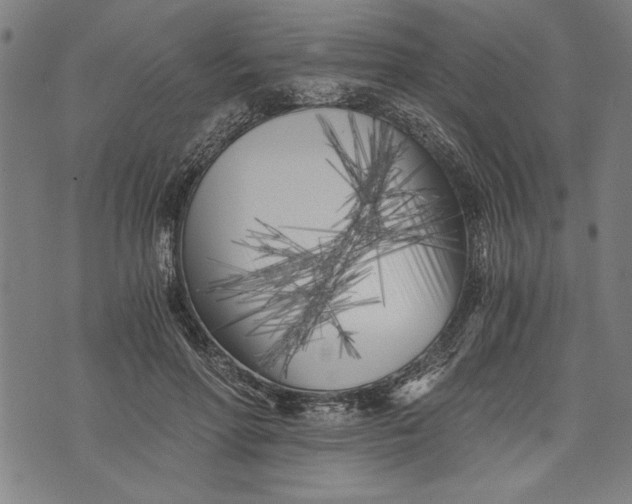 X0000073720598200608241234