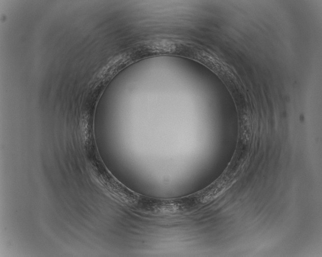 X0000073720600200608241234