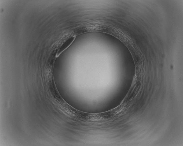 X0000073720601200608241234