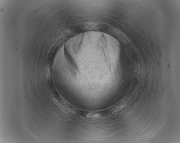 X0000073720602200608241234