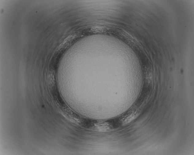 X0000073720603200608241234