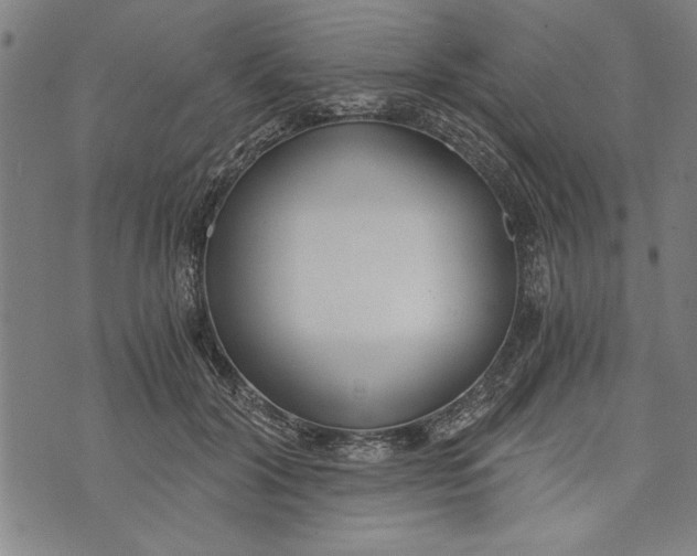 X0000073720604200608241234