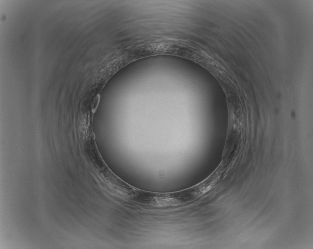 X0000073720605200608241234