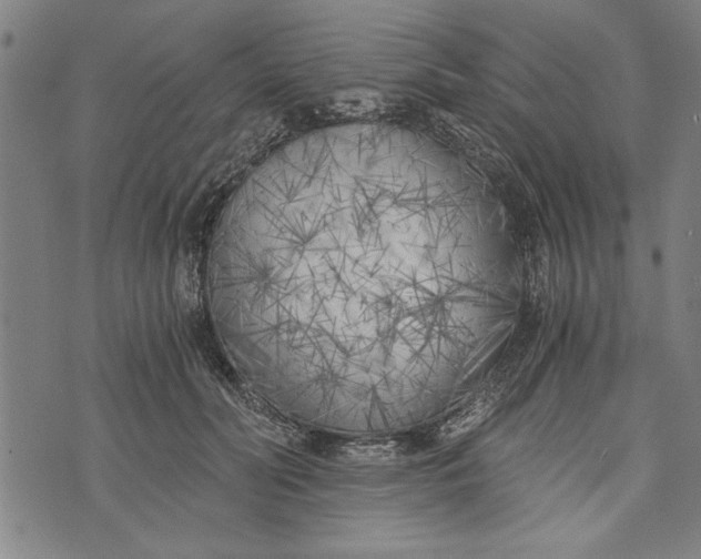 X0000073720606200608241234