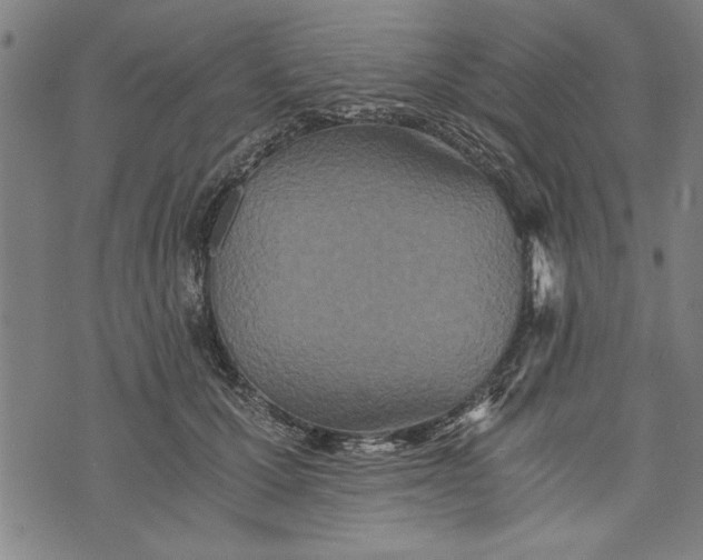 X0000073720607200608241234