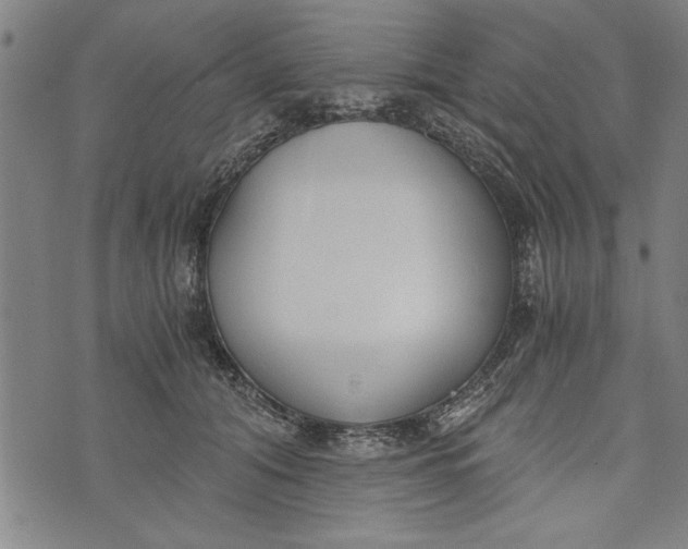 X0000073720608200608241234