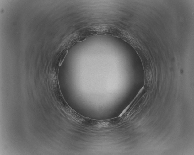 X0000073720609200608241234